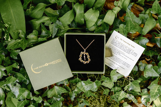 Life Path 1 Silver Necklace with Citrine